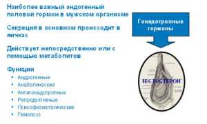 Почему важно сохранять норму тестостерона в крови у мужчин?