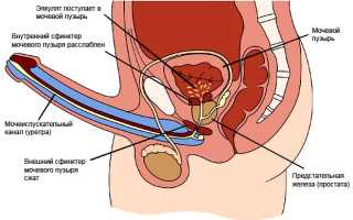 Что служит причиной возникновения ретроградной эякуляции?