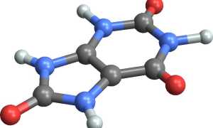 Норма и патология мочевой кислоты в крови у мужчин