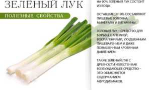 Чем полезен зеленый лук именно для мужчин?
