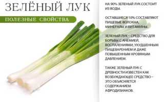 Чем полезен зеленый лук именно для мужчин?