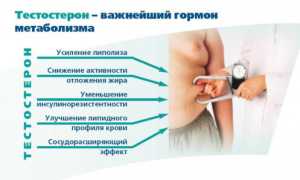 Как правильно поднять уровень тестостерона у мужчин?