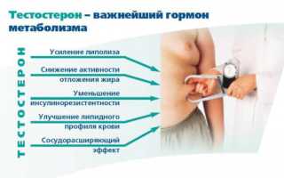 Как правильно поднять уровень тестостерона у мужчин?