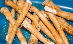 Превосходный вкус и полезные своиства хрена для мужчин