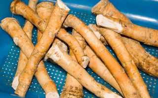 Превосходный вкус и полезные своиства хрена для мужчин