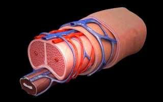 По какой-то причине вздулась вена на члене: что делать?