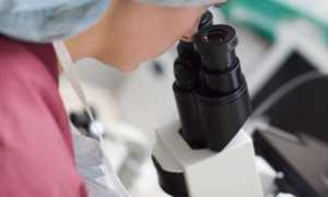 Как можно улучшить спермограмму народными средствами