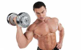 Основные аспекты питания бодибилдера