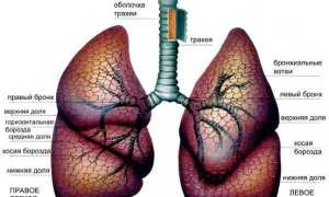 Какой тип дыхания у мужчин?