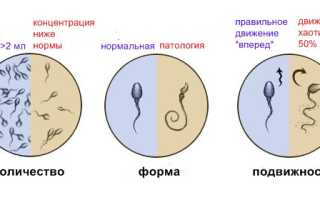 Витамины для улучшения качества мужской спермы