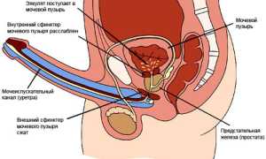 Сперма как желе — признак заболевания