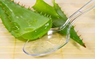 Восстановление потенции народными средствами: сок алоэ и натуральный мед