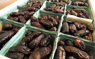 Чем полезно употребление фиников для мужчин