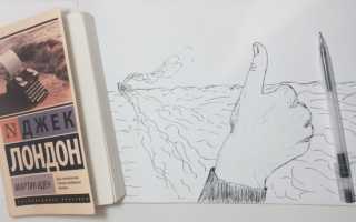 Виды и примеры книжной литературы для развития речи у взрослых