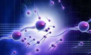 Когда и как нужно сдавать спермограмму?