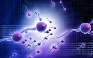 Когда и как нужно сдавать спермограмму?