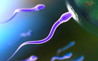 Олигоастенозооспермия: симптомы и лечение