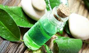 Использование масла чайного дерева при потливости ног