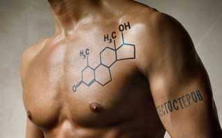 Способы повышения уровня тестостерона в организме