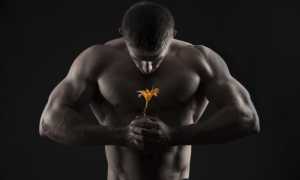 Как повысить либидо в домашних условиях без использования лекарств?