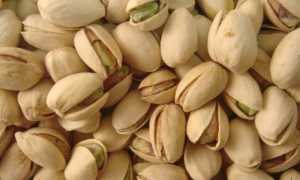 Польза и вред фисташек для мужчин