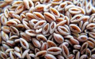 Травы от бесплодия: эффективно ли такое лечение?