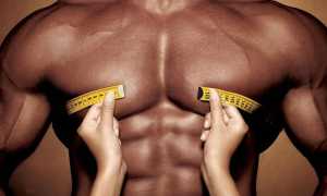 Возможно ли накачать пресс за 2 недели мужчине?