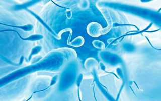 Проблема агглютинации спермиев и способы её устранения