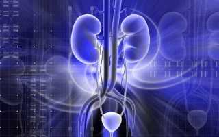 Мужские болезни мочеполовой системы: камни в почках и инфекции