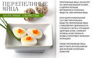 В чем состоит польза шпината для мужчин?