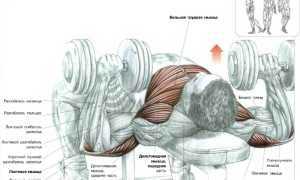 Набор упражнений с гантелями для грудных мышц для мужчин
