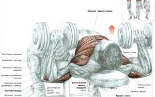Набор упражнений с гантелями для грудных мышц для мужчин