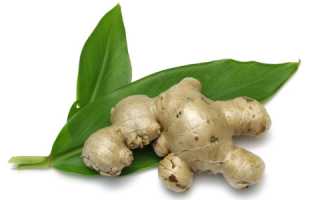 Все важное и полезное про имбирь: рецепты для мужчин