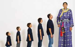 Хорошие упражнения для увеличения роста и веса в домашних условиях