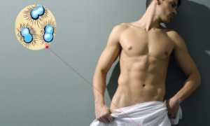 Лечение гонореи у мужчин в домашних условиях: методы и прогнозы