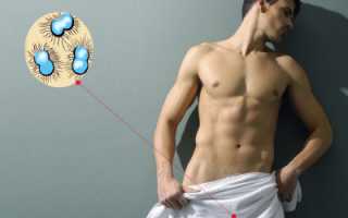 Лечение гонореи у мужчин в домашних условиях: методы и прогнозы