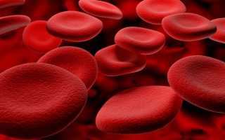 Какова норма лимфоцитов в крови у мужчин?