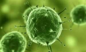 Микоплазма хоминис у мужчин: диагностика и лечение