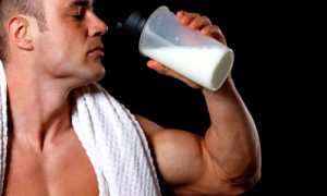 Протеин для мужчин: вреден или нет?