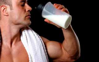 Протеин для мужчин: вреден или нет?