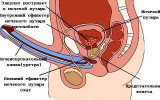 Почему возникает семяизвержение с кровью?