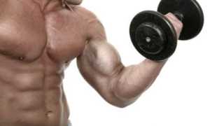 Как выполняется сушка мышц для мужчин в домашних условиях?