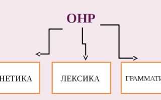 Общее недоразвитие речи 4 уровня