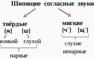 Комплекс артикуляционной гимнастики для шипящих звуков