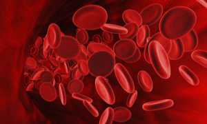 Почему концентрация лейкоцитов у мужчин может отклоняться от нормы?