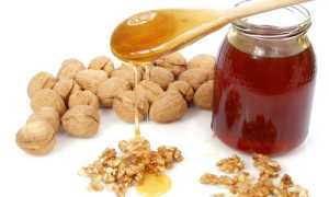 Какую пользу могут принести орехи с медом для мужчин?