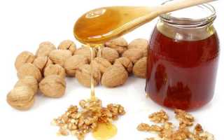 Какую пользу могут принести орехи с медом для мужчин?