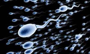 Диагностика и лечение заболевания бактериоспермия