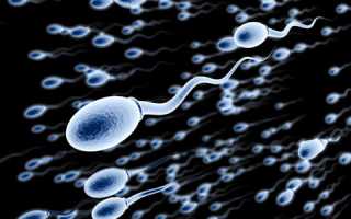 Диагностика и лечение заболевания бактериоспермия