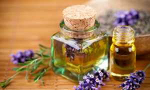 Как использовать афродизиак для мужчин